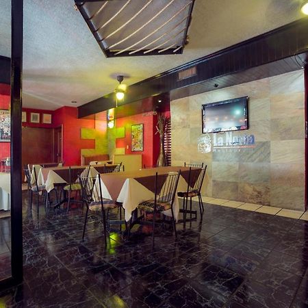 Hotel Torre 몬테레이 외부 사진